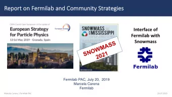Re  Report on Fermilab and Community  y Strategies  Interface of  Fermilab with  Snowmass  SNOWMASS