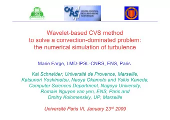 Wavelet-based CVS method  to solve a convection-dominated problem:  the numerical simulation of