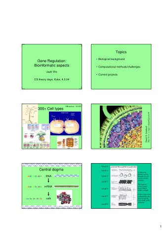 Topics   Biological background  Gene Regulation:  Bioinformatic aspects   Computational