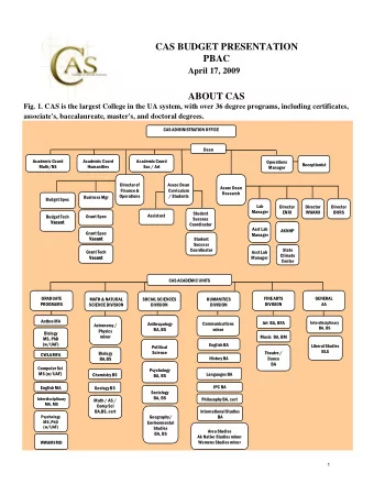 CAS BUDGET PRESENTATION  PBAC  April 17, 2009  ABOUT CAS  Fig. 1. CAS is the largest College in the