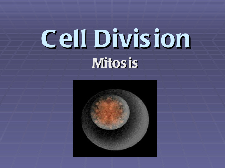 cell division cell division