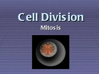 Cell Division  Cell Division  Mitosis  Mitosis  Reasons for Mitosis  Reasons for Mitosis  There are
