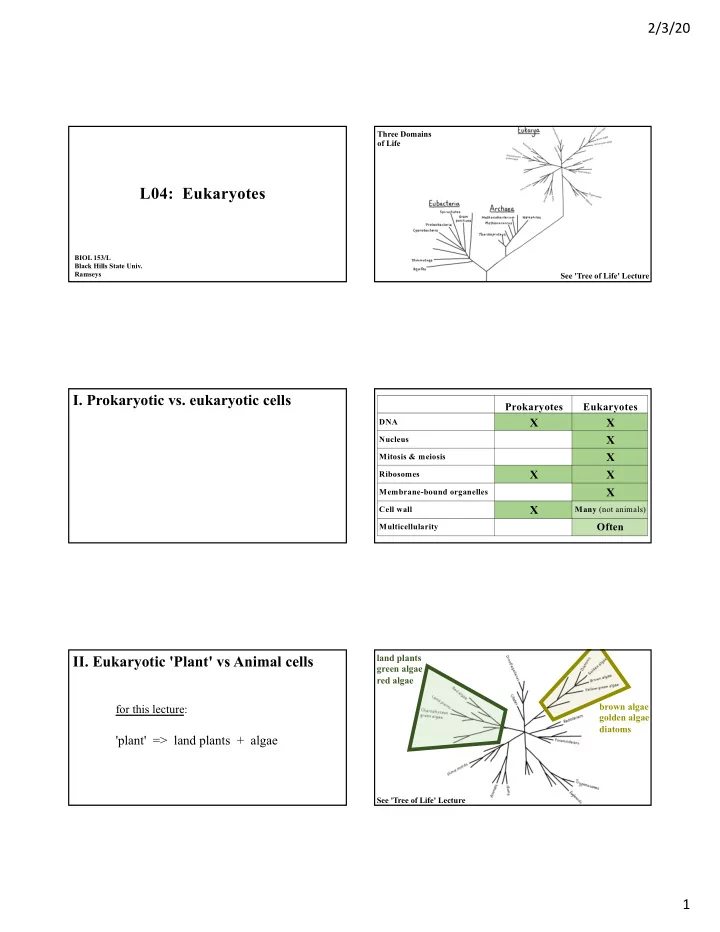l04 eukaryotes