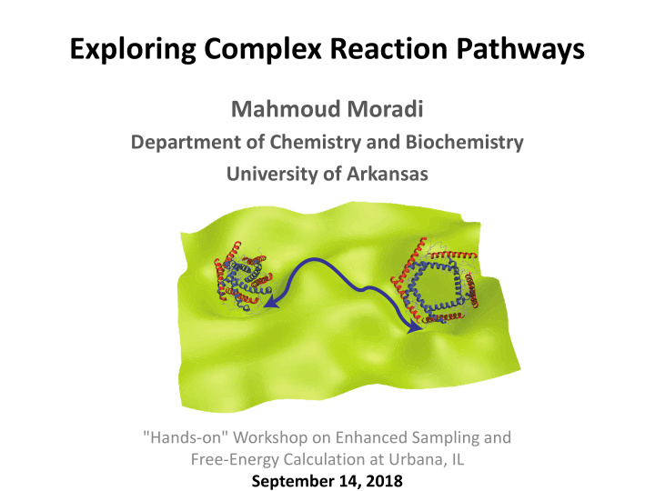 exploring complex reaction pathways