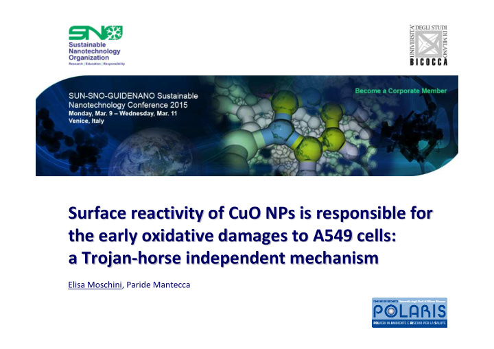 surface reactivity reactivity of of cuo cuo nps nps is is