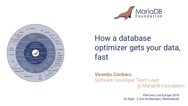 how a database optimizer gets your data fast