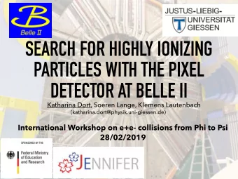 SEARCH FOR HIGHLY IONIZING  PARTICLES WITH THE PIXEL  DETECTOR AT BELLE II  Katharina Dort, Soeren