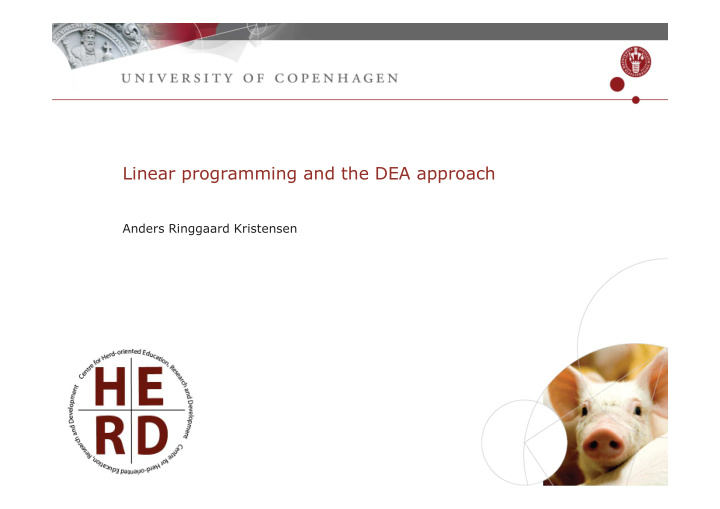 linear programming and the dea approach