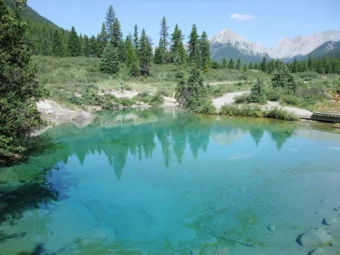 Brian Haynes  McMaster University  EBHC Workshop,  2013  The Health Information Research Unit at