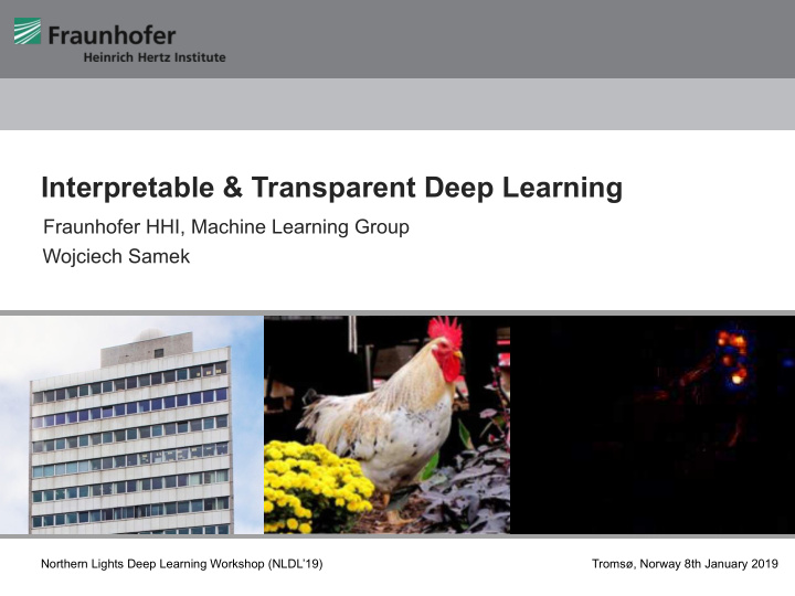 interpretable transparent deep learning