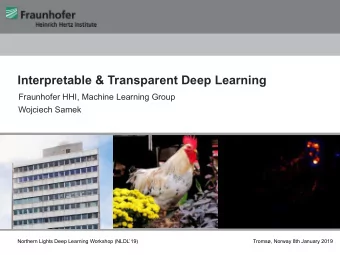 Interpretable &amp; Transparent Deep Learning  Fraunhofer HHI, Machine Learning Group  Wojciech