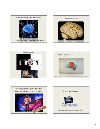 Brain Myths..  http://www.youtube.com/watch?v=5NubJ2ThK_U&amp;feature=youtu.be  Dr. Suzana