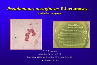 Pseudomonas aeruginosa ;  ;   -  -lactamases  lactamases    Pseudomonas aeruginosa  and