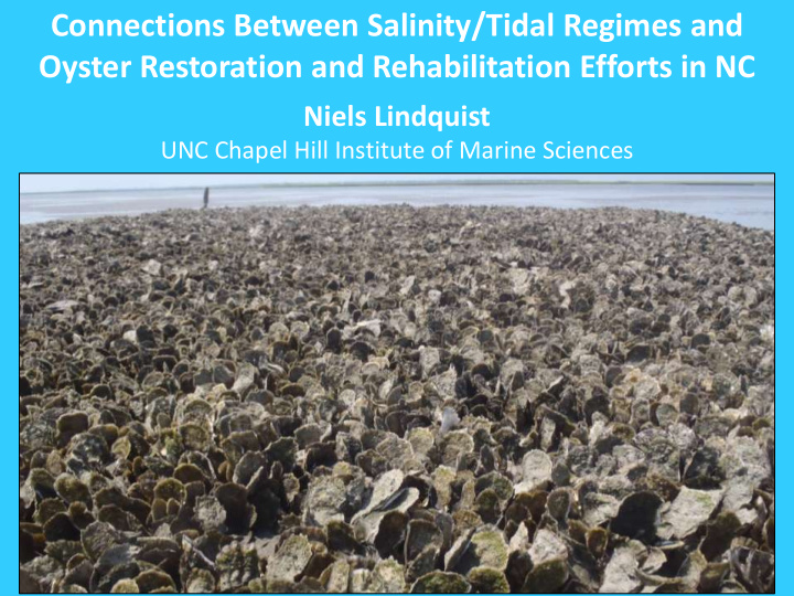oyster restoration and rehabilitation efforts in nc