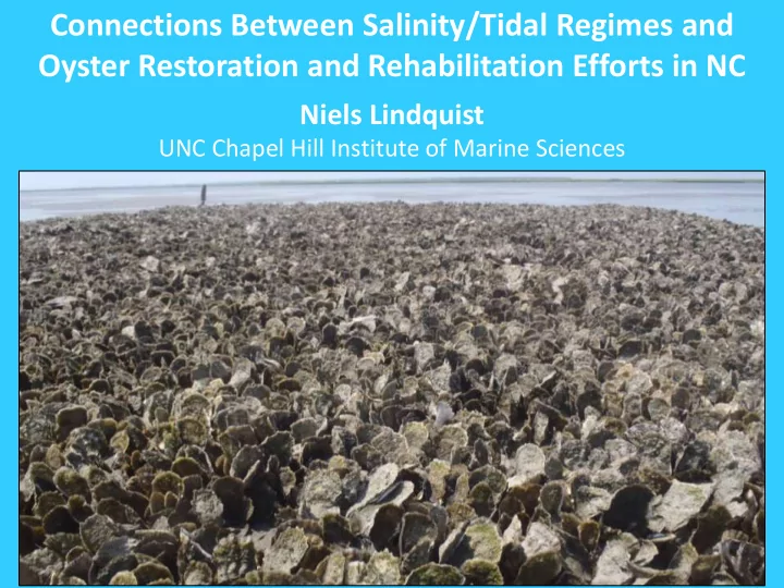 oyster restoration and rehabilitation efforts in nc