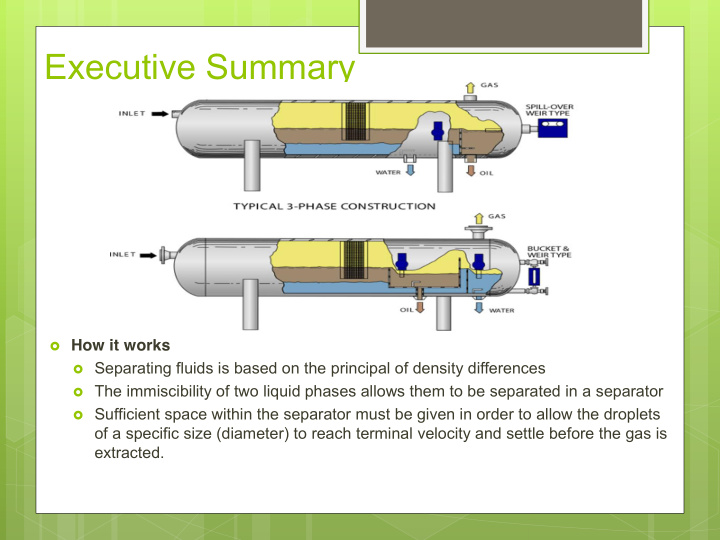 executive summary