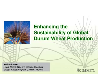 Sustainability of Global  Durum Wheat Production  Karim Ammar  Head, Durum Wheat &amp; Triticale