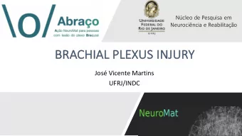 BR  BRACH  CHIAL PL  PLEXUS INJ  NJURY  Jos Vicente Martins  UFRJ/INDC  2016  Traumatic brachial