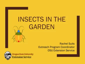 INSECTS IN THE  GARDEN  Rachel Suits  Outreach Program Coordinator  OSU Extension Service