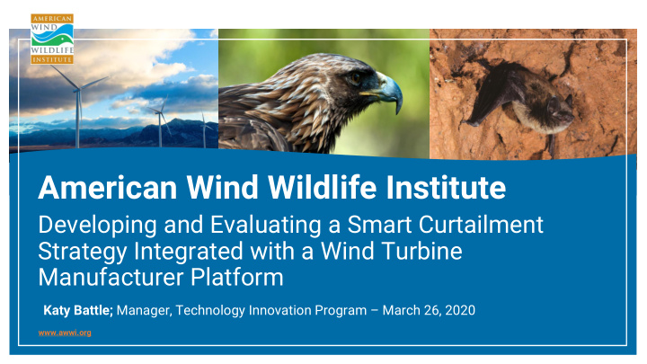 american wind wildlife institute