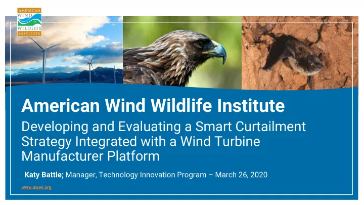 american wind wildlife institute