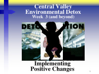environmental detox