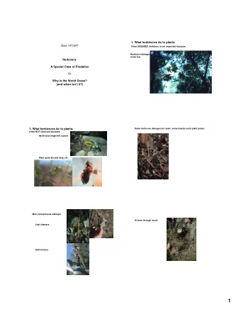 1  Sporadic: very high herbivore abundance  Herbivores can cause heavy plant damage in some