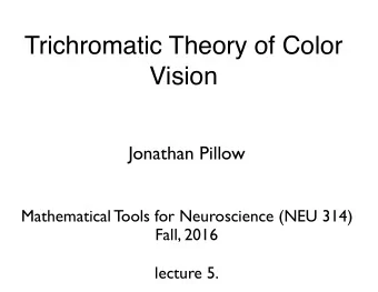 Trichromatic Theory of Color  Vision  Jonathan Pillow  Mathematical Tools for Neuroscience (NEU