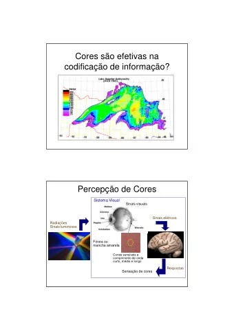 Cores so efetivas na  codificao de informao?  Percepo de Cores  Sistema Visual