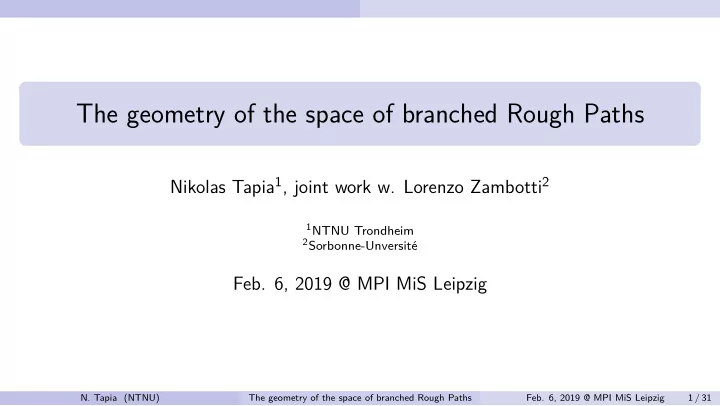 the geometry of the space of branched rough paths