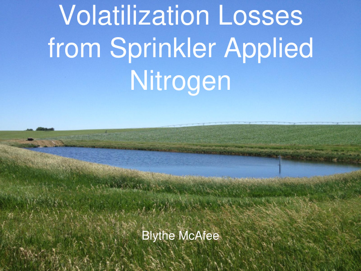 volatilization losses from sprinkler applied