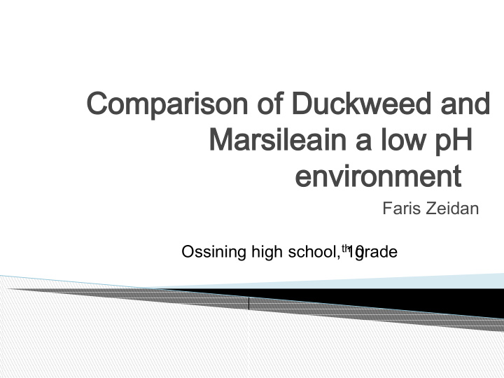 comparison of duckweed and comparison of duckweed and