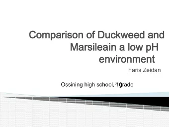 Comparison of Duckweed and  Comparison of Duckweed and  Marsilea  Marsilea  in a low pH  in a low