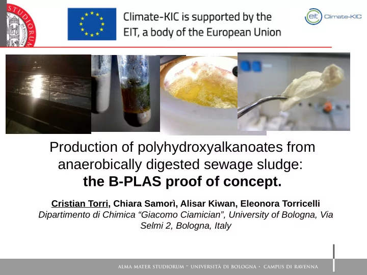 production of polyhydroxyalkanoates from anaerobically