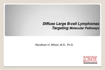Diffuse Large B-cell Lymphomas Targeting Molecular Pathways  Wyndham H. Wilson, M.D., Ph.D.
