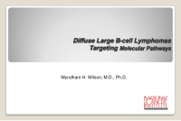 diffuse large b cell lymphomas