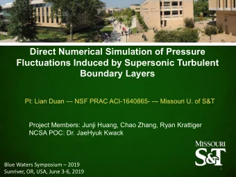 Direct Numerical Simulation of Pressure  Fluctuations Induced by Supersonic Turbulent  Boundary
