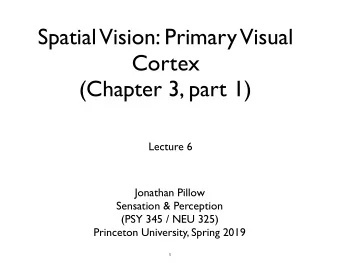 Spatial  Vision: Primary  Visual  Cortex  (Chapter 3, part 1)  Lecture 6  Jonathan Pillow