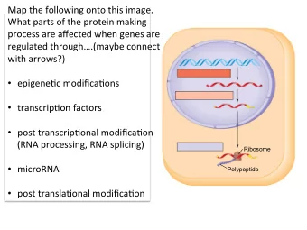 Map the following onto this image.  What parts of the protein making  process are affected when