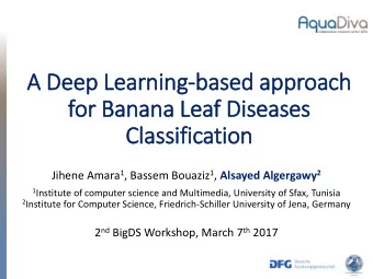 for Banana Leaf Dis  iseases  Cla  lassification Jihene Amara 1 , Bassem Bouaziz 1 , Alsayed