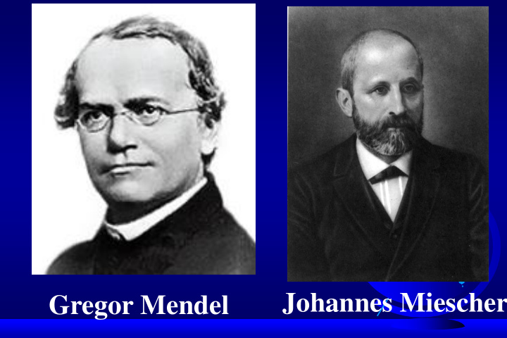 johannes miescher gregor mendel