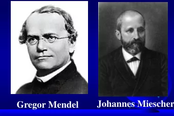 Johannes Miescher  Gregor Mendel  Human  Genome  Project  2000  Precision Medicine 2010  Discovery
