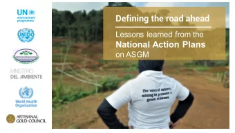 Defining the road ahead  Lessons learned from the  National Action Plans  on ASGM  PROGRAMME