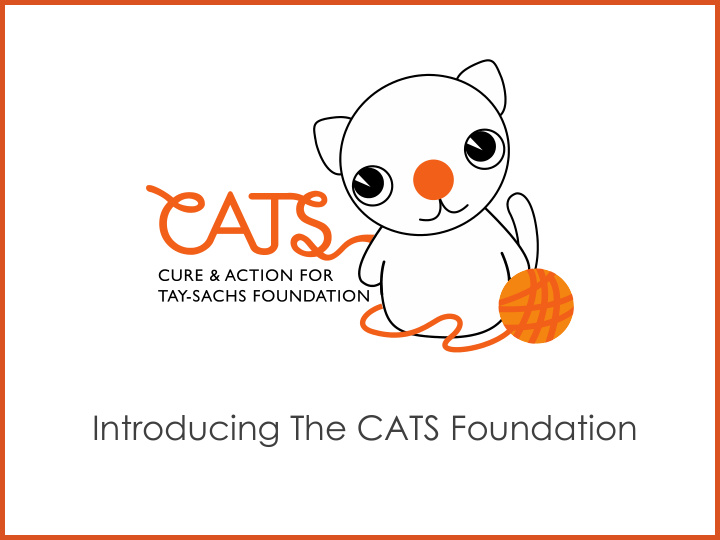 introducing the cats foundation
