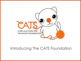 Introducing The CATS Foundation  The CATS Foundation  The very beginning  www.cats-foundation.org