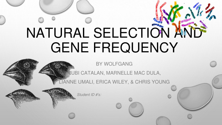 natural selection and gene frequency