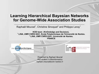 Learning Hierarchical Bayesian Networks  for Genome-Wide Association Studies Raphal Mourad 1 ,
