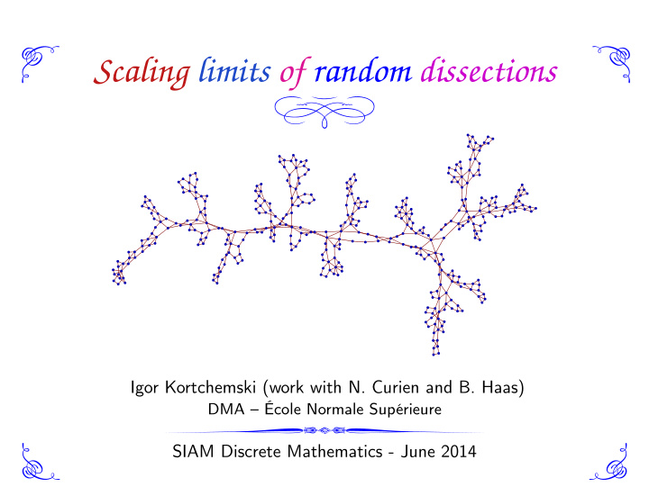 scaling limits of random dissections