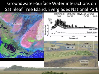 Groundwater  Surface Water interactions on Satinleaf Tree Island, Everglades National Park