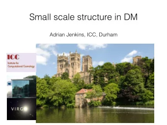Small scale structure in DM  Adrian Jenkins, ICC, Durham  Overview  CDM  - N-body methods,  halo
